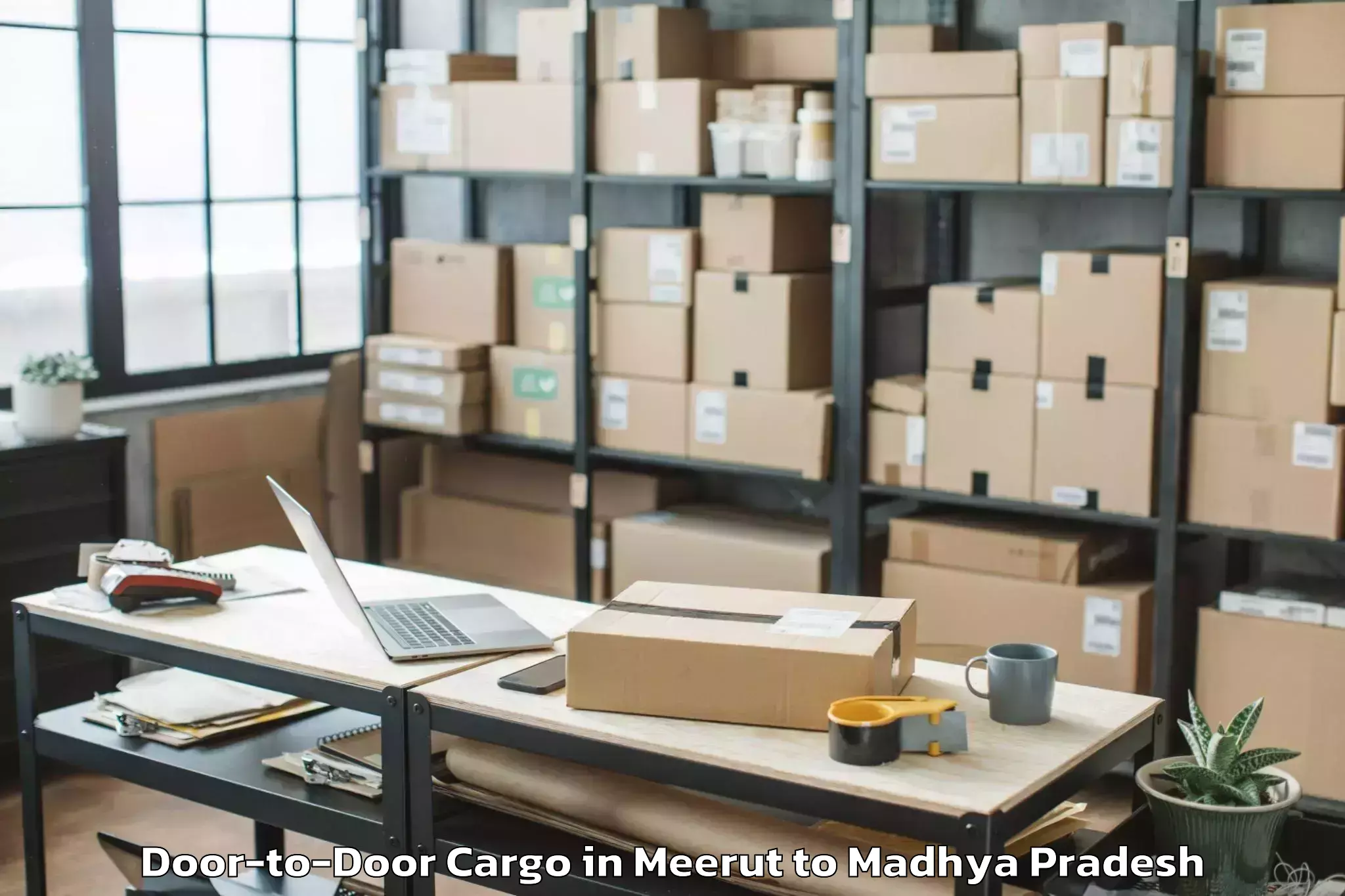 Hassle-Free Meerut to Maharaja Chhatrasal Bundelkhan Door To Door Cargo